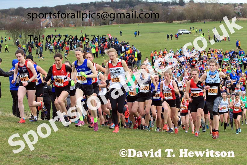 Senior womens 2022 NEHL Sherman Cup/Davison Shield, Temple Oark, South Shields. Photo: David T. Hewitson/Sports for All Pics